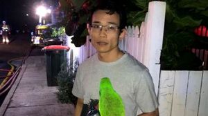 Bărbat, salvat dintr-un incendiu de papagalul său