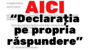 Modelul declarației 