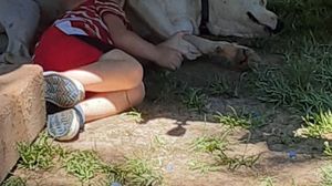 A împușcat câinele unui copil de trei ani