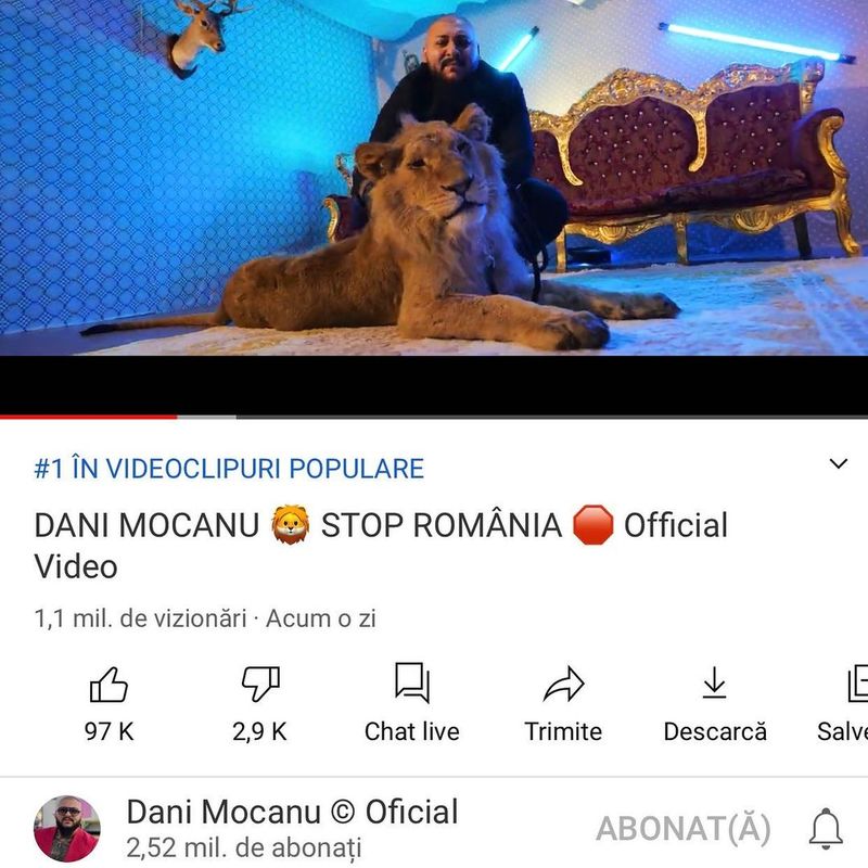 Dani Mocanu