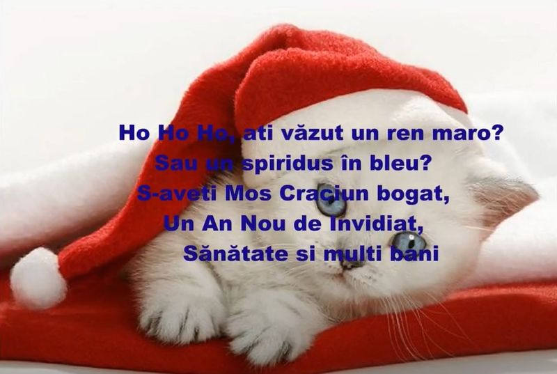 mesaje de Crăciun amuzante