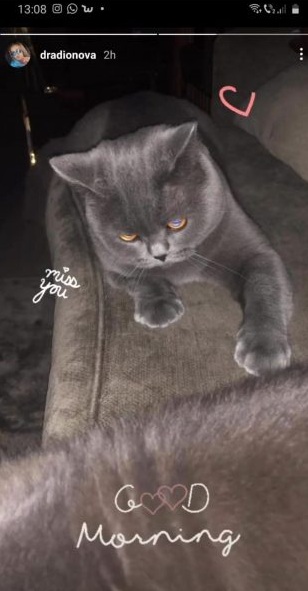 Mesaj emoționant pentru fostul soț al Biancăi Drăgușanu