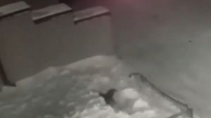 O fetiță a căzut de la etajul patru și a supraviețuit ca prin minune