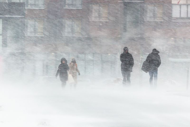 Ninge in Romania 2020