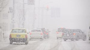 Ninge in Romania 2020