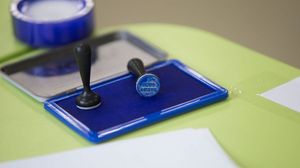  Rezultate la alegerile parlamentare 2020