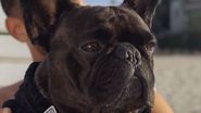 Dorian Popa și Cheluţu au lansat o melodie de Crăciun