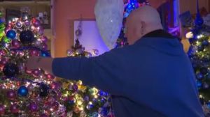 Bărbatul a împodobit 420 de brazi Bărbatul a împodobit 420 de brazi