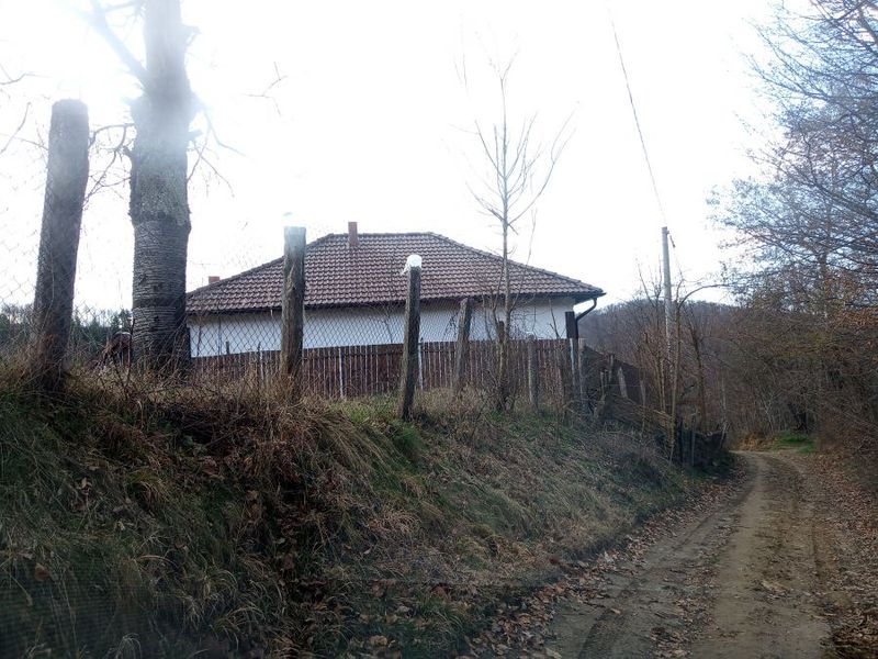 Florin Citu casa parintilor