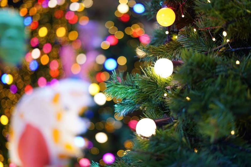 Nașterea Domnului, 25 decembrie, Crăciunul