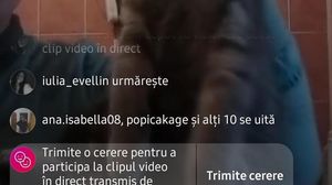 Un băiat și-a mutilat pisica în timpul unei transmisiuni în direct