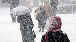 Cod galben de ninsori și viscol