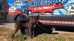 Povestea impresionantă a bărbatului fără casă care a salvat 16 vieți! "Știam că trebuie să-i salvez pe toți..."