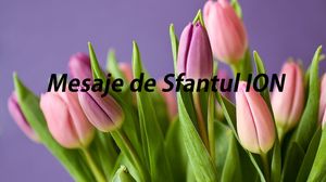 Mesaje de Sfântul Ion 2021