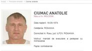 Tolea ciumac