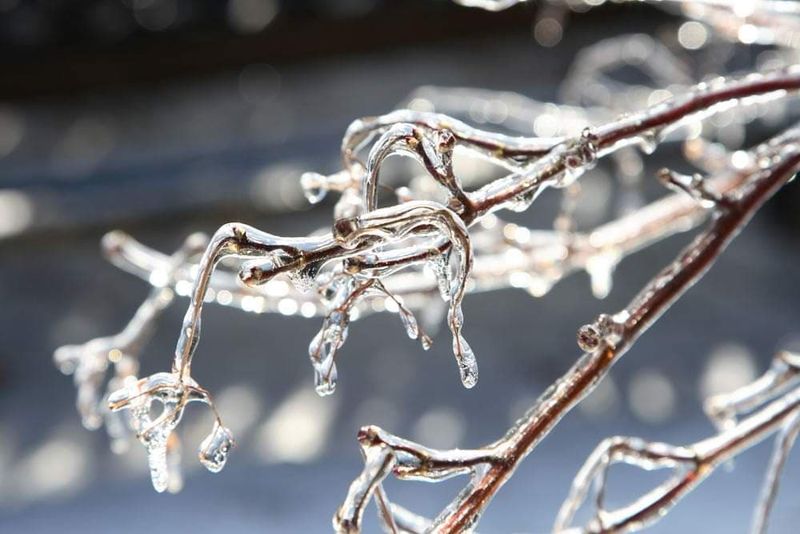 Care este stratul de zăpadă &icirc;n principalele stațiuni de la munte &icirc;n perioada 11 - 17 ianuarie