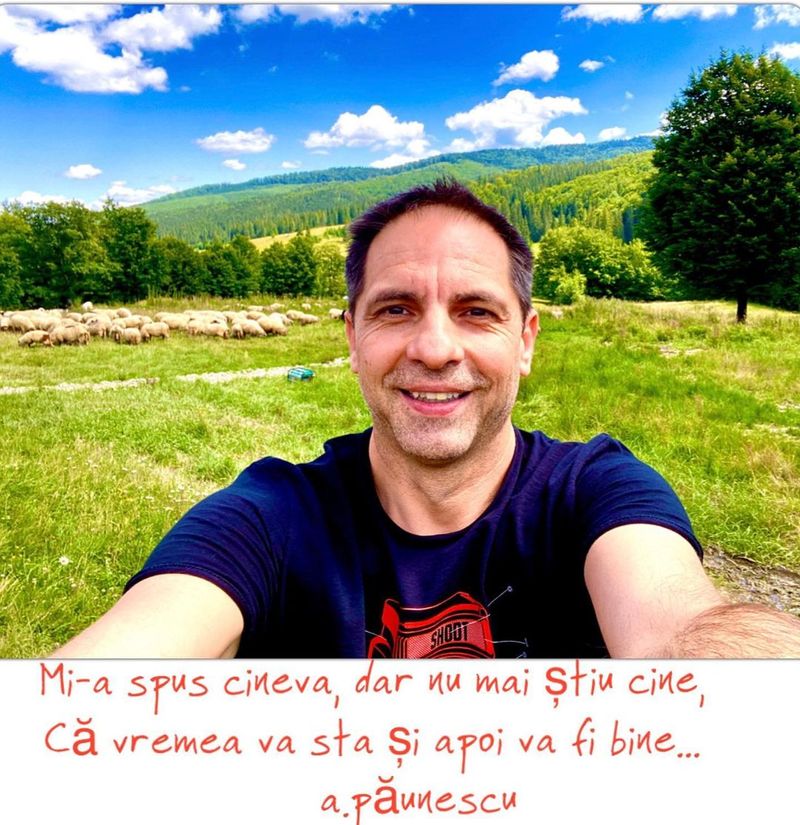 Dan Negru CV impresionant