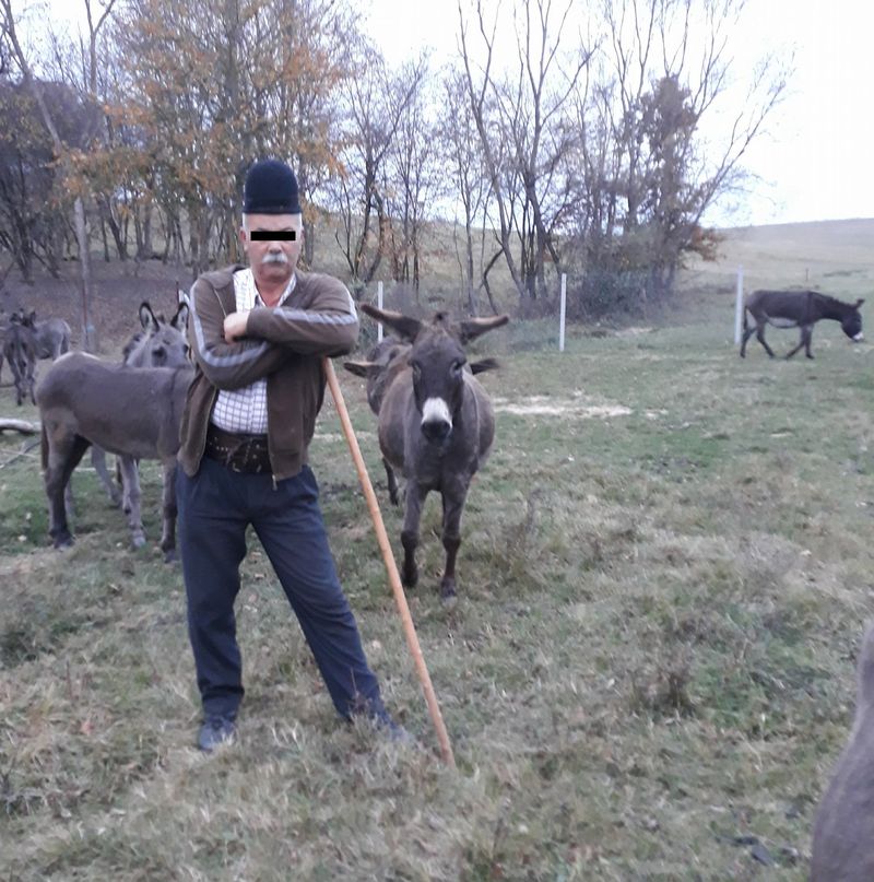 tata Culita sterp