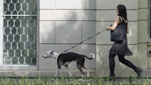 Femia și-a scos câinele la plimbare