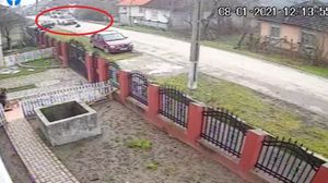 Câine lovit intenționat de un șofer