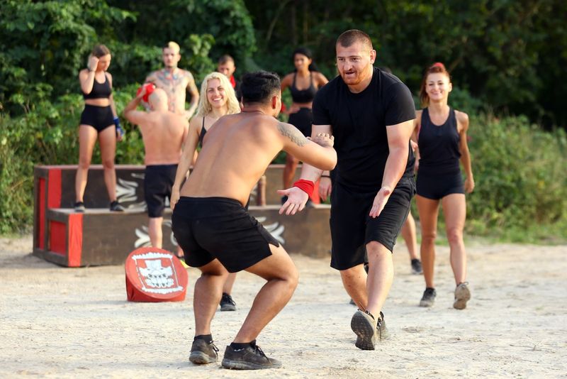 survivor romania
