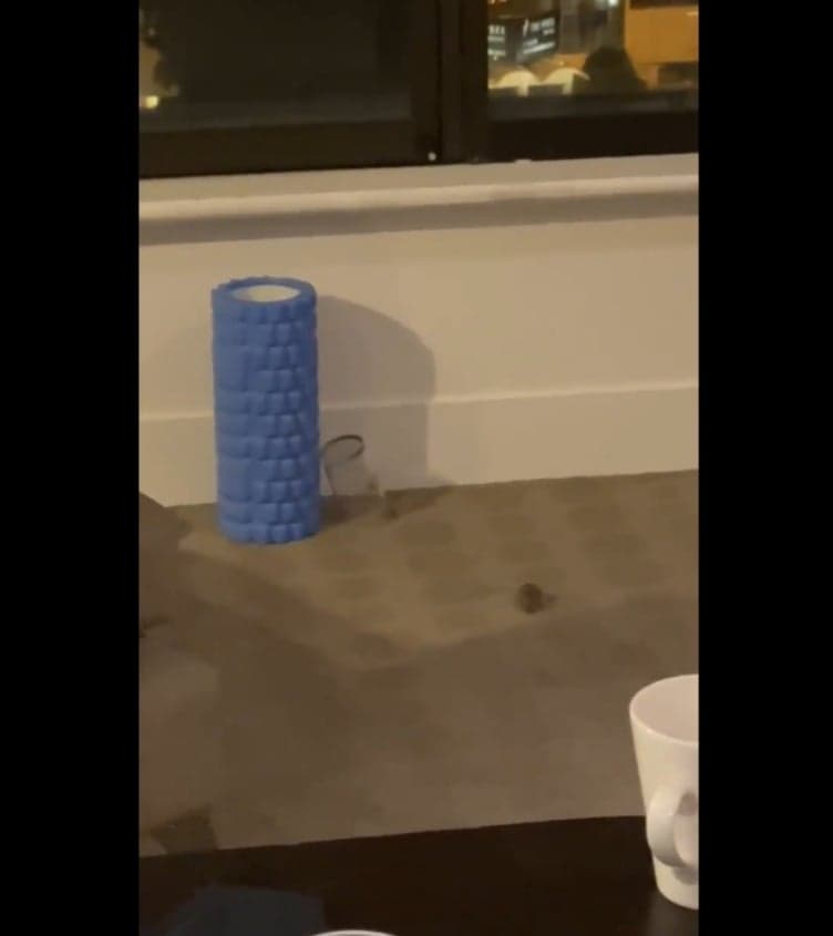 Jucătoarea de tenis s-a trezit cu un șoarece în camera de hotel