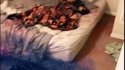 Răzbunarea inedită a unei femei care a aflat că iubitul a înșelat-o! I-a făcut locuința praf