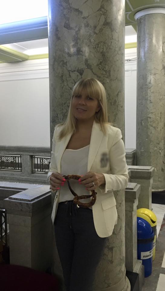 Procurorii cer 12 ani de închisoare pentru Elena Udrea, în dosarul finanțării campaniei din 2009