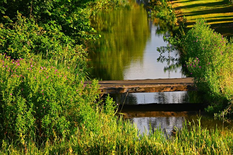 Noi detalii ies la iveală în cazul Florinei, românca găsită moartă în șant în Spania