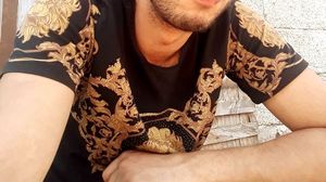 Giani Dinu, criminal