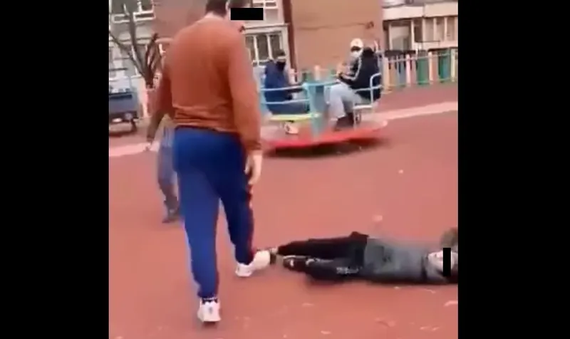 copil batut hunedoara