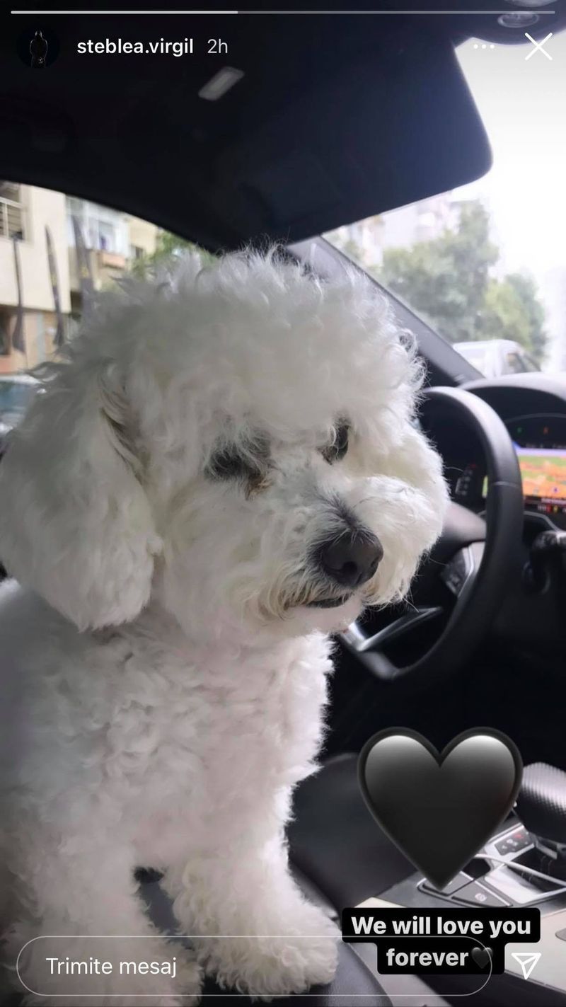 Mesajul postat de Virgil, soțul Adelinei Pestrițu