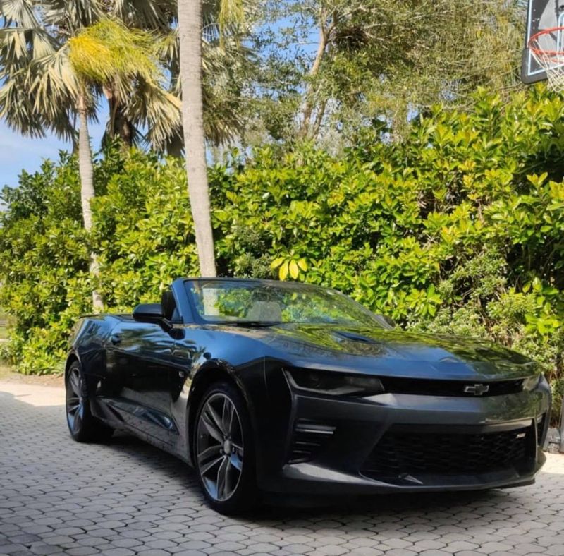 Cadoul de lux primit de Catrinel de la soțul ei.