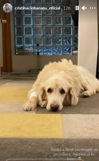 Momente cumplite pentru Cristina Ciobănașu, la scurt timp după despărțirea de Vlad Gherman! Anunțul trist al actriței: 