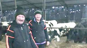 Doi oameni ai străzii din Huși au rezistat doar trei zile la munca plătită cu 2.500 de lei. 