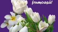 Felicitări și mărțisoare virtuale cu ocazia zilei de 1 martie. Cele mai frumoase felicitări online