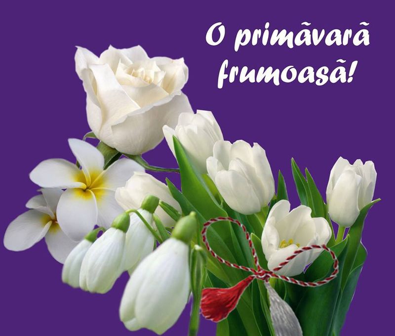 Felicitări și mărțisoare virtuale cu ocazia zilei de 1 martie. Cele mai frumoase felicitări online