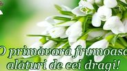 Felicitări și mărțisoare virtuale cu ocazia zilei de 1 martie. Cele mai frumoase felicitări online