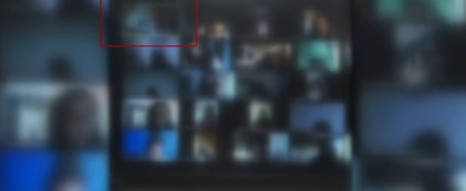 Un profesor s-a afișat în fața elevilor, la un curs online, doar în lenjerie intimă