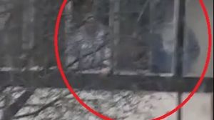 Negocieri Onești