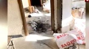 Primele imagini din apartamentul din Onești în care au fost uciși doi muncitori