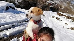 Gestul impresionant al unei fetițe de 9 ani! Și-a cărat câinele în spate, prin zăpadă, pentru a ajunge la veterinar