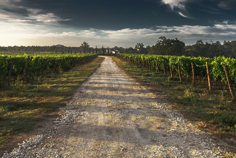 Doi muncitori români au trăit iadul la o fermă în Italia