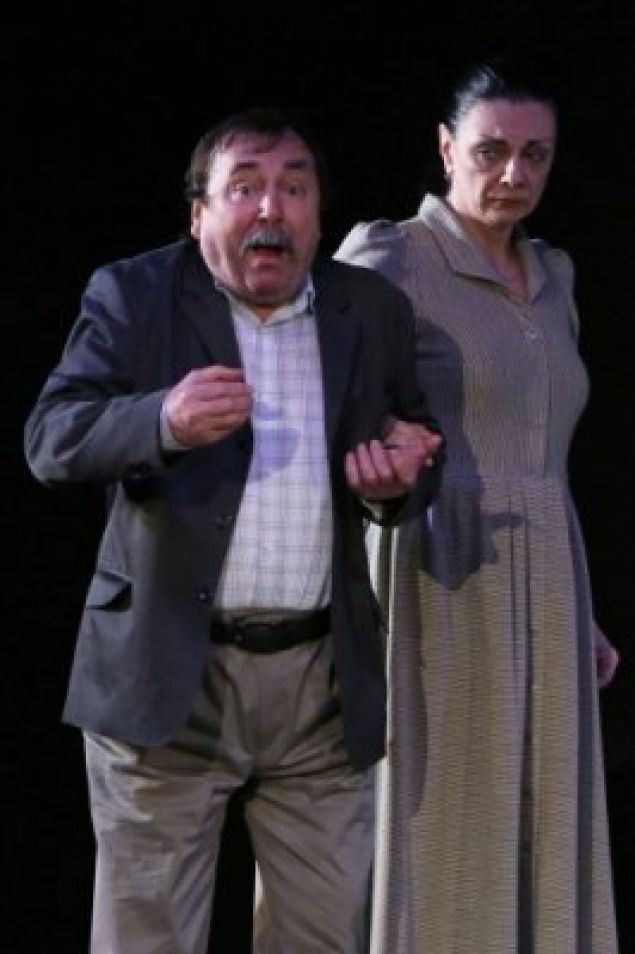 Puiu Gheorghe Dănilă