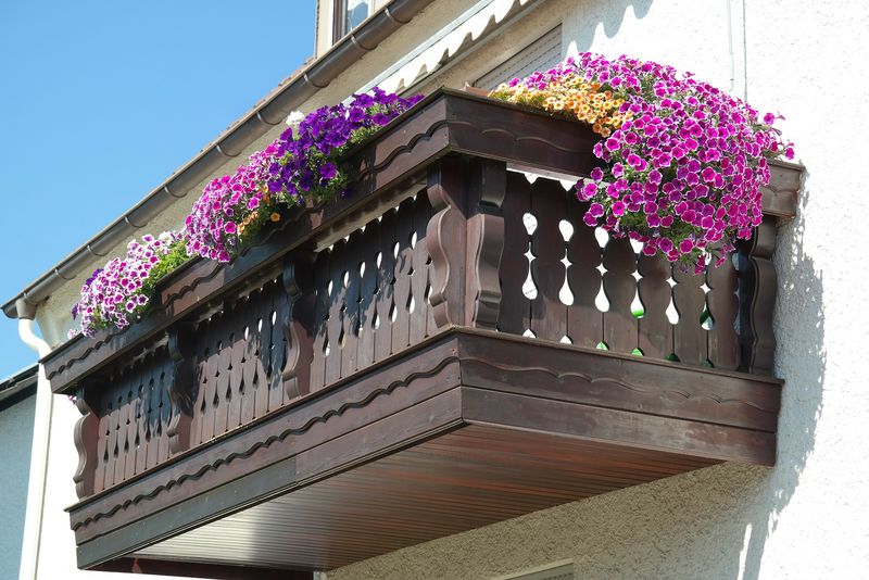Grădina din balcon