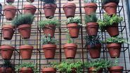 Grădina din balcon