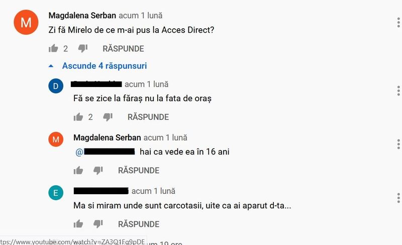 Mirela Vaida mesaj