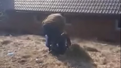 Adolescent, snopit în bătaie de un fost antrenor