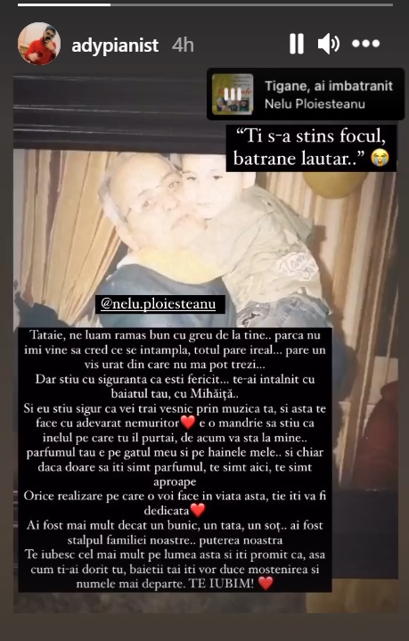 nelu ploiesteanu