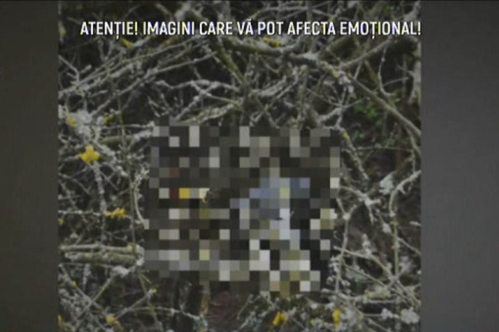 Trupul neînsuflețit al copilului